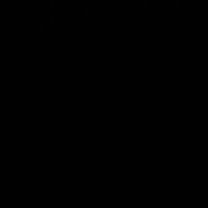 Meet your Posher, Liz